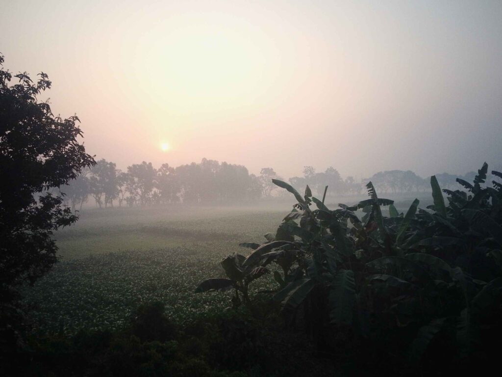 সকালে সূর্য উদয় হওয়ার সাথে সাথে কুয়াশা কেটে যাচ্ছে।