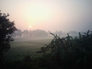 সকালে সূর্য উদয় হওয়ার সাথে সাথে কুয়াশা কেটে যাচ্ছে।