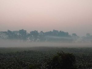 Manikganj weather today morning fog belt sky