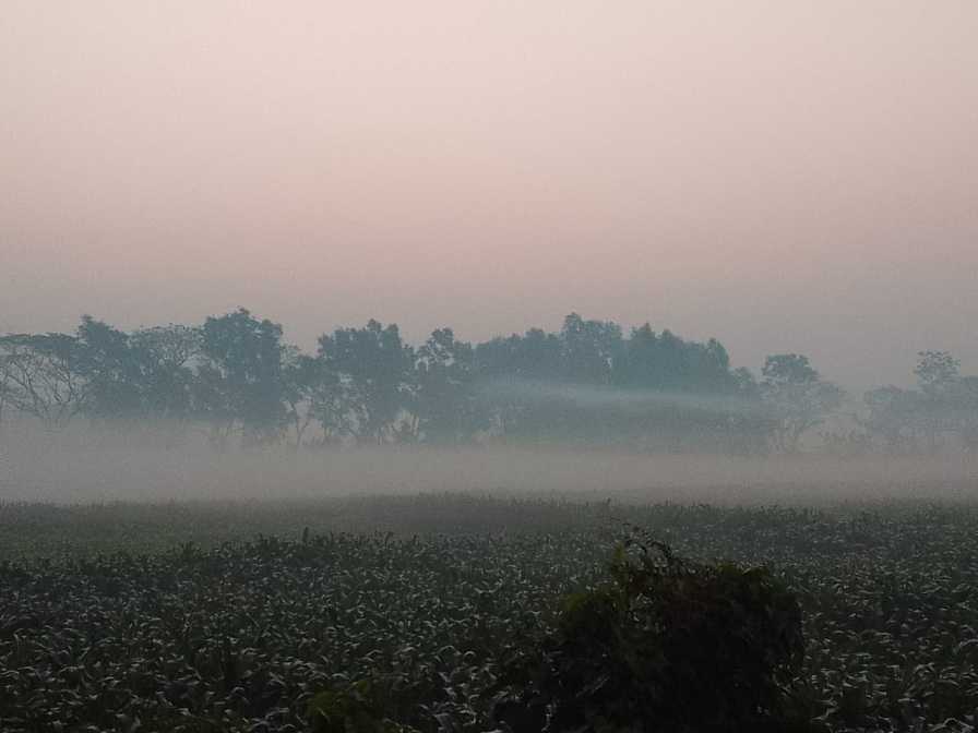 Manikganj weather today morning fog belt sky